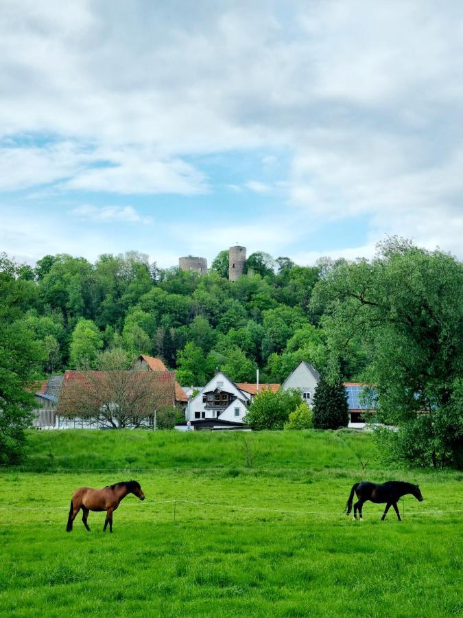 Ferienhaus Diemelaue Mit Klimaanlage 바트카를스하펜 외부 사진